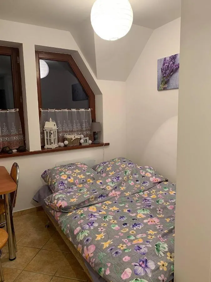 Appartement Apartament Widokowy Wiesia à Zakopane Pologne